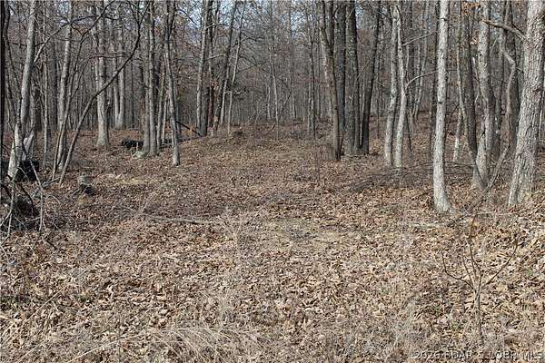 4.26 Acres of Land for Sale in Gravois Mills, Missouri