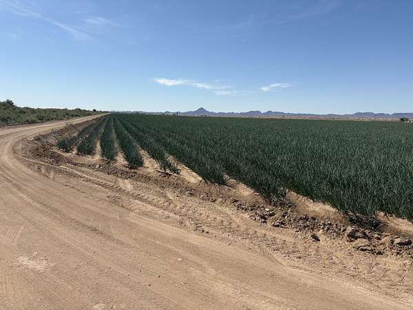197 Acres of Agricultural Land for Sale in Blythe, California