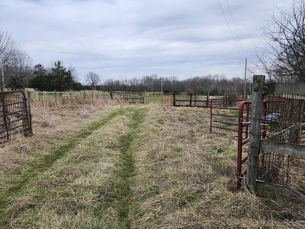 175 Acres of Agricultural Land for Sale in Hartville, Missouri