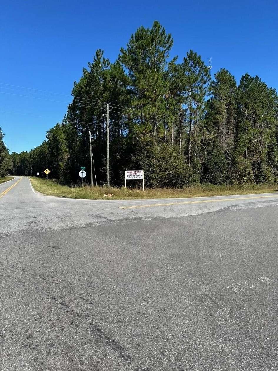 48.4 Acres of Land for Sale in Pembroke, Georgia