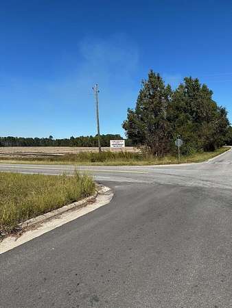 53.2 Acres of Agricultural Land for Sale in Pembroke, Georgia