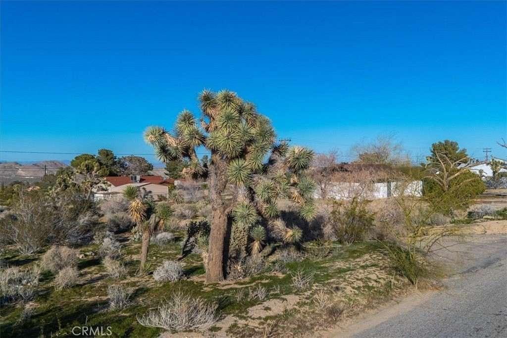 0.42 Acres of Residential Land for Sale in Joshua Tree, California