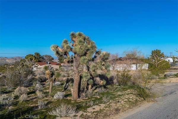 0.42 Acres of Residential Land for Sale in Joshua Tree, California