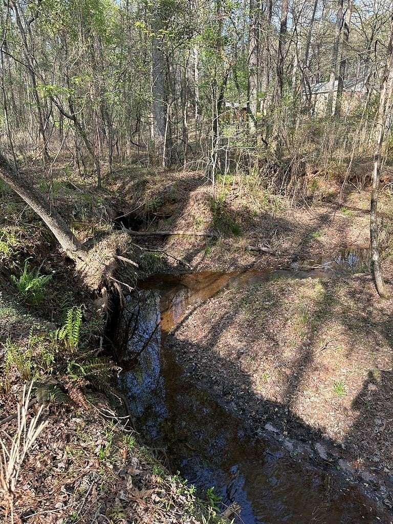 6.68 Acres of Land for Sale in Waverly Hall, Georgia