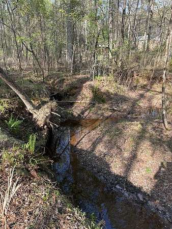 6.68 Acres of Land for Sale in Waverly Hall, Georgia