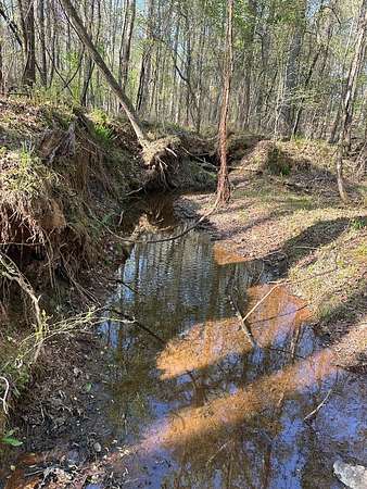 6.68 Acres of Land for Sale in Waverly Hall, Georgia