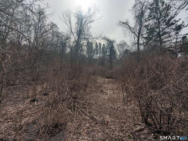 7.74 Acres of Residential Land for Sale in Waterbury, Connecticut