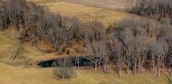11 Acres of Land for Sale in Bois D'Arc, Missouri