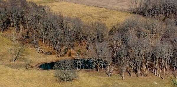 11 Acres of Land for Sale in Bois D'Arc, Missouri