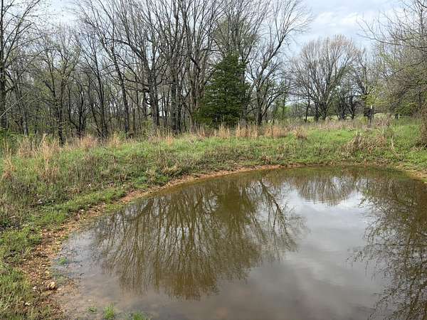 11 Acres of Land for Sale in Bois D'Arc, Missouri