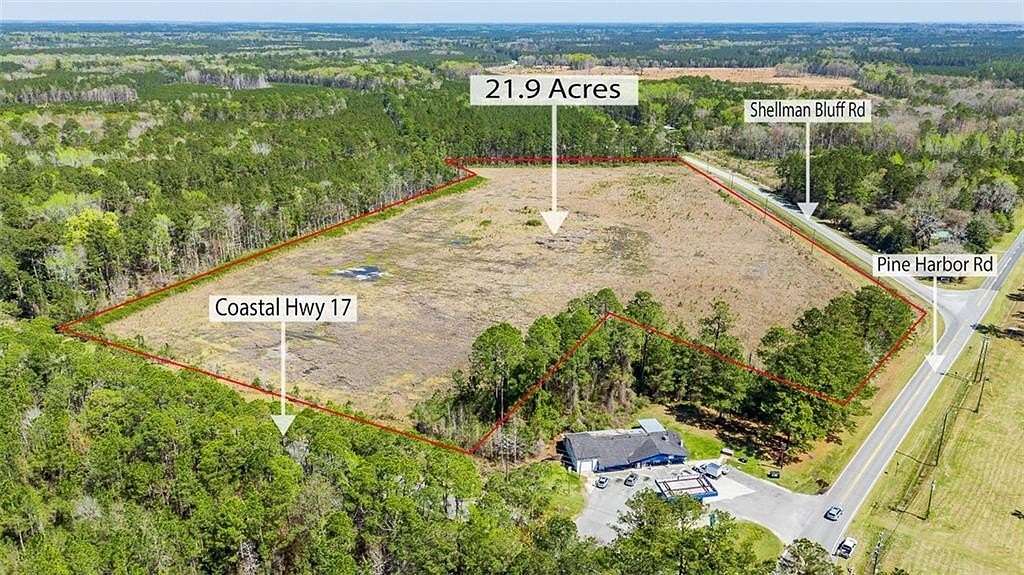 21.9 Acres of Commercial Land for Sale in Townsend, Georgia