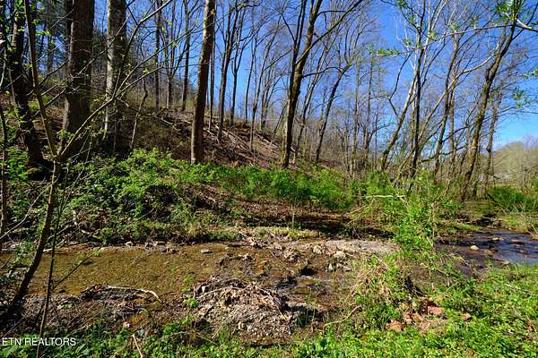 2 Acres of Residential Land for Sale in Powell, Tennessee