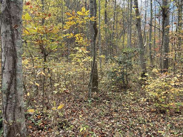 7.5 Acres of Residential Land for Sale in Clay City, Kentucky