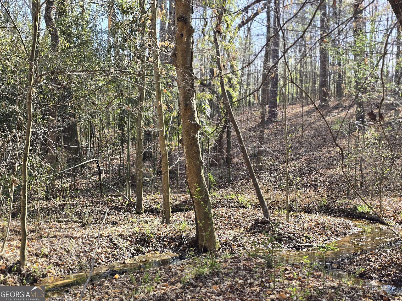 22.5 Acres of Land for Sale in Hull, Georgia