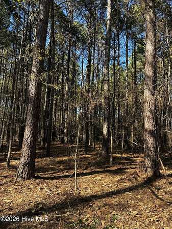 85.2 Acres of Land for Sale in Carthage, North Carolina