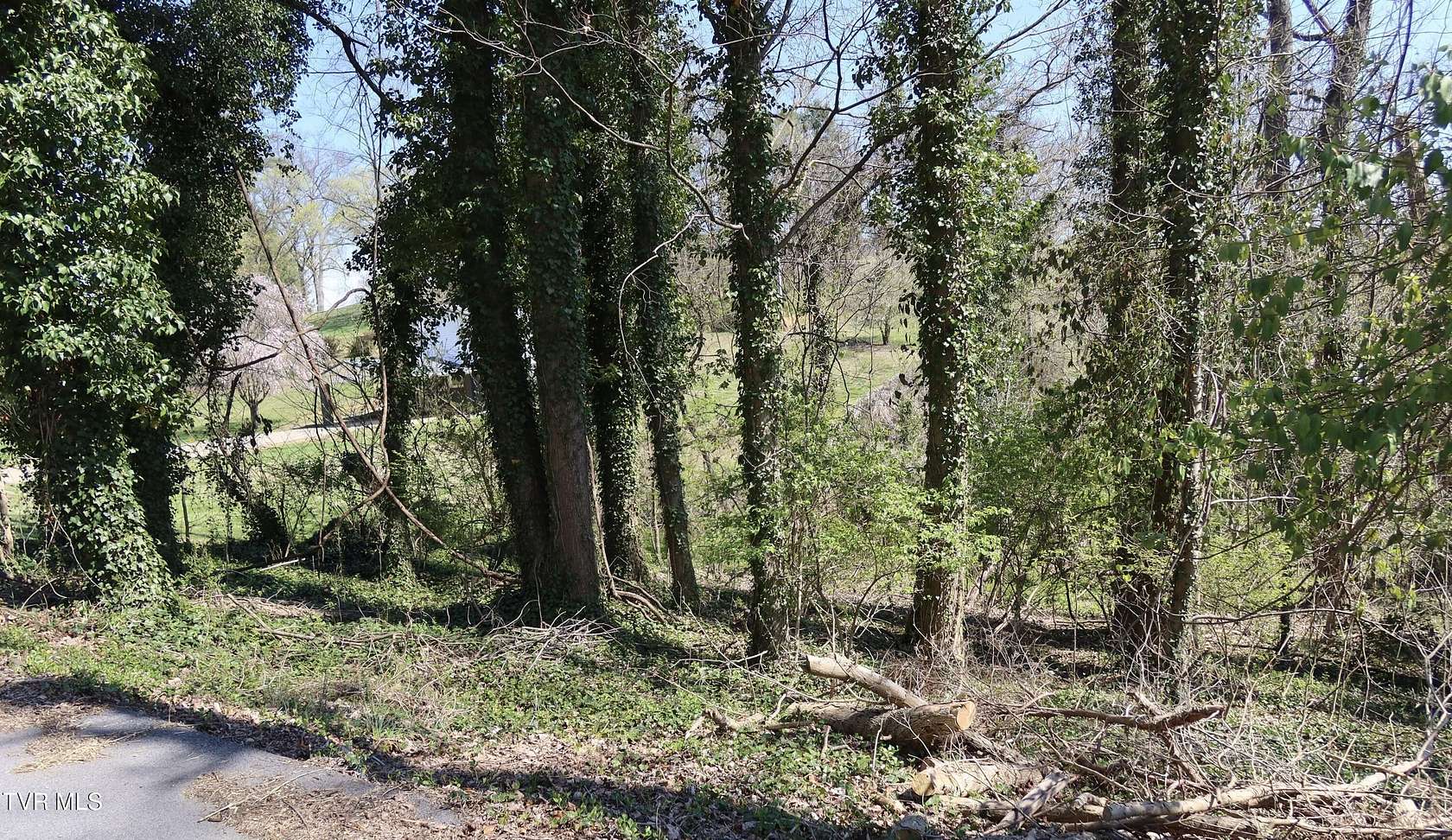 0.26 Acres of Residential Land for Sale in Kingsport, Tennessee