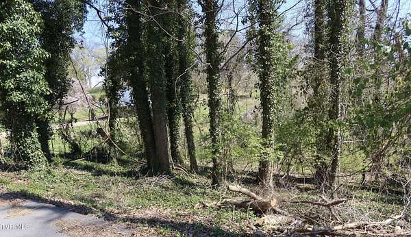 0.26 Acres of Residential Land for Sale in Kingsport, Tennessee