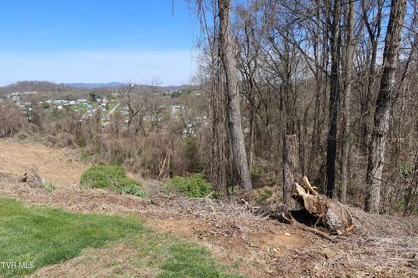 0.28 Acres of Residential Land for Sale in Kingsport, Tennessee