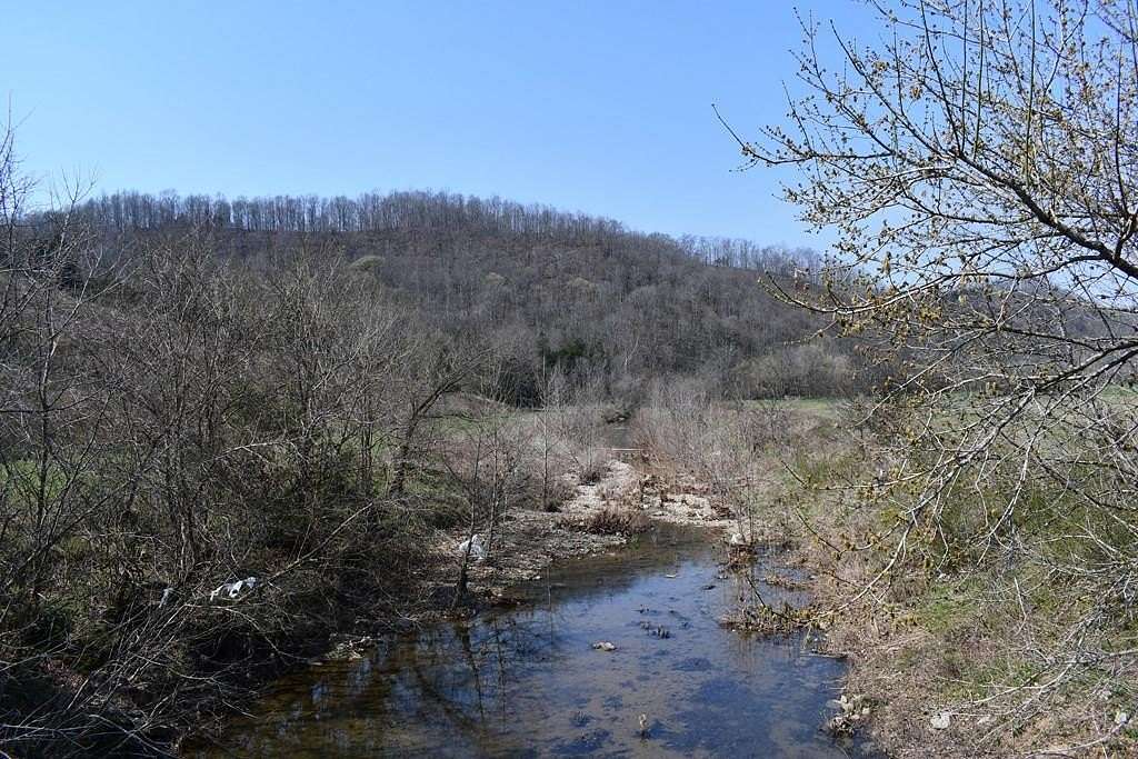 31.1 Acres of Land for Sale in Hilham, Tennessee