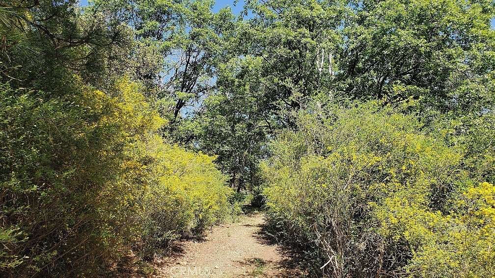 1 Acre of Residential Land for Sale in Loch Lomond, California