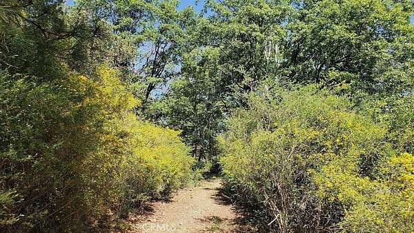 1 Acre of Residential Land for Sale in Loch Lomond, California