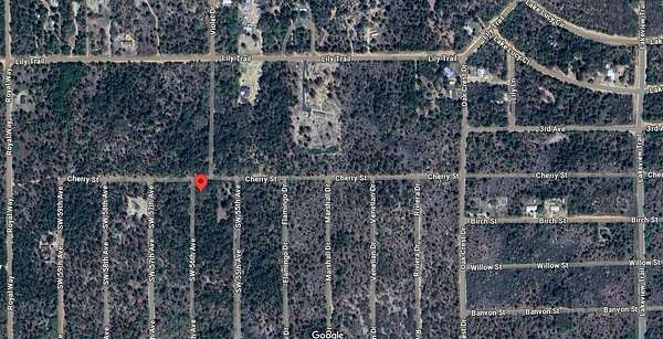 0.16 Acres of Residential Land for Sale in Interlachen, Florida