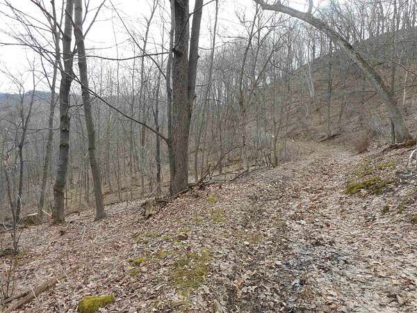 30 Acres of Recreational Land for Sale in Wilton, Wisconsin