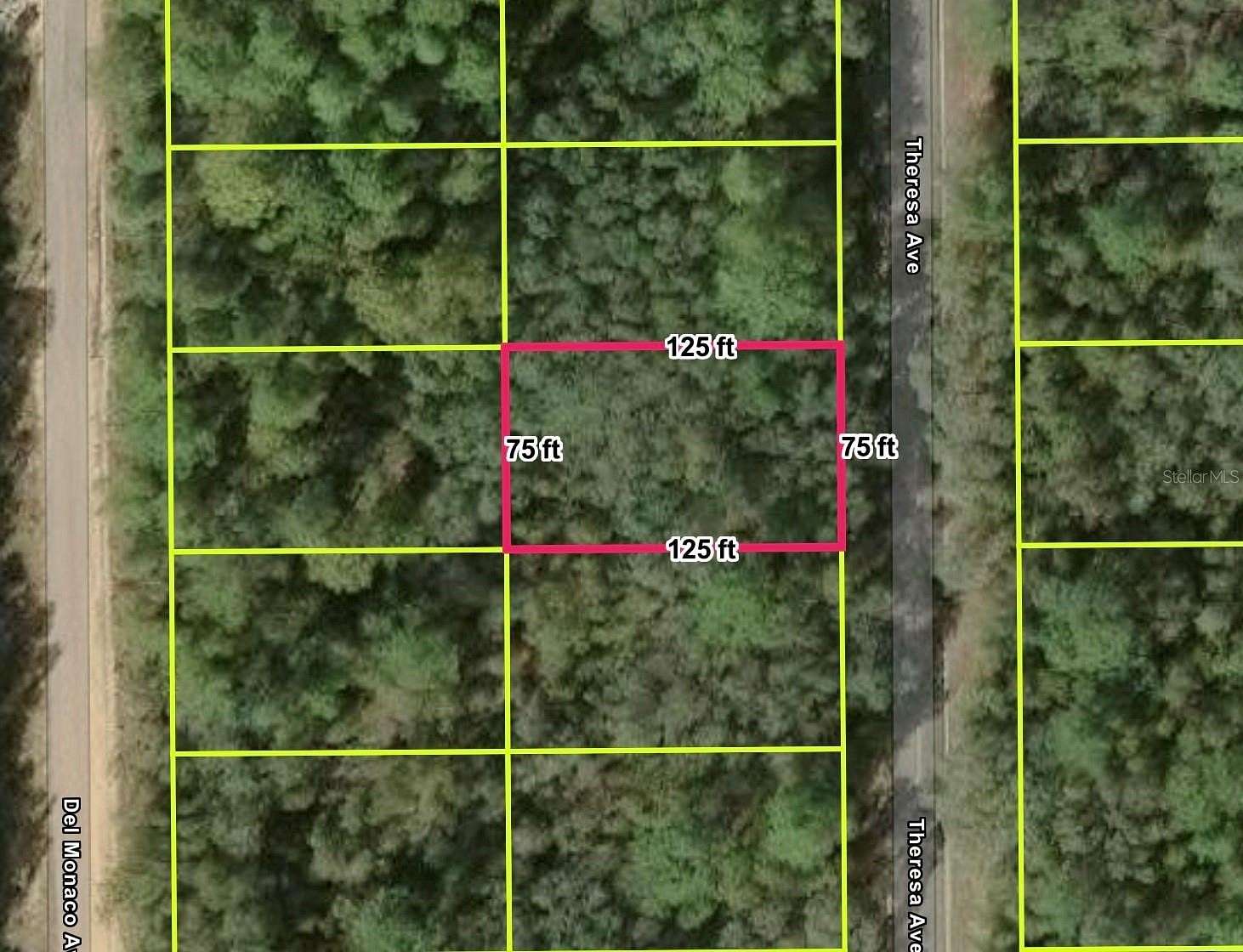 0.22 Acres of Residential Land for Sale in Interlachen, Florida