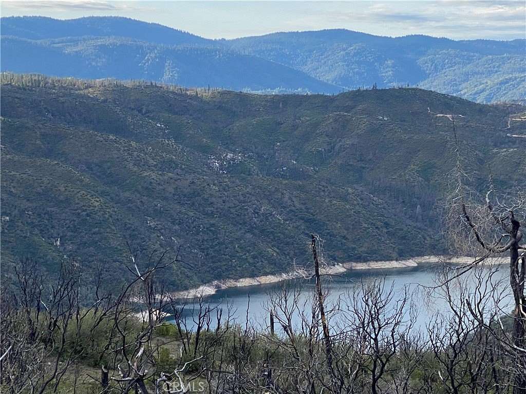 5.24 Acres of Land for Sale in Berry Creek, California