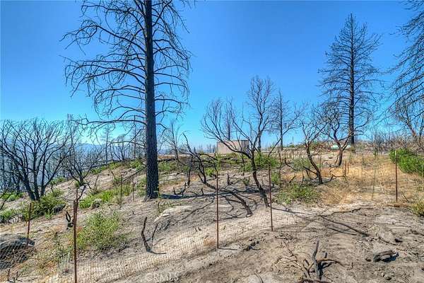 5.24 Acres of Land for Sale in Berry Creek, California