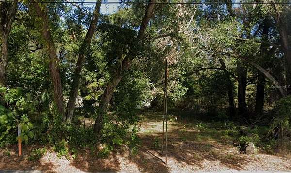 0.31 Acres of Land for Sale in Tampa, Florida