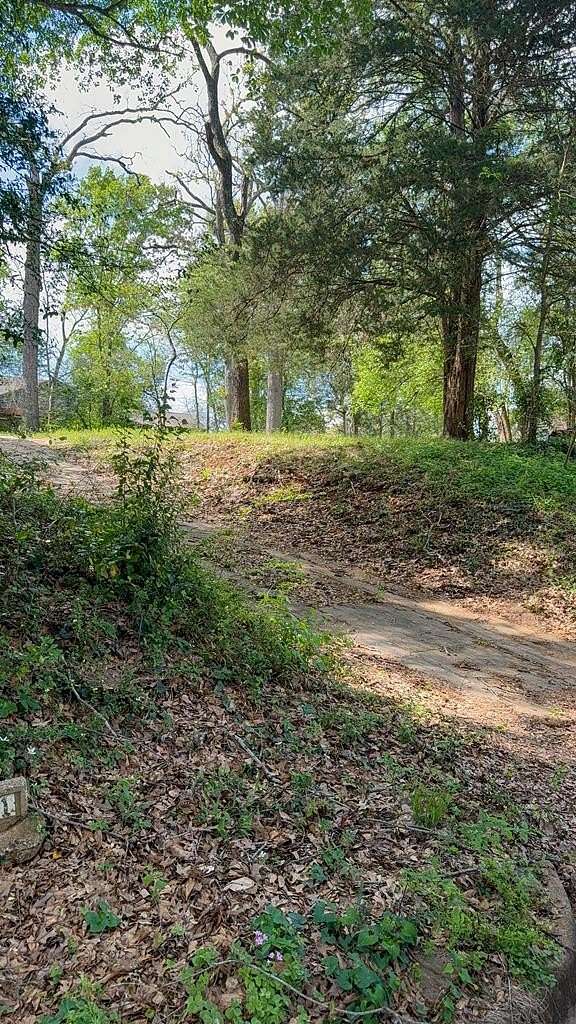 0.41 Acres of Residential Land for Sale in Palestine, Texas