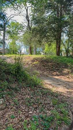 0.41 Acres of Residential Land for Sale in Palestine, Texas