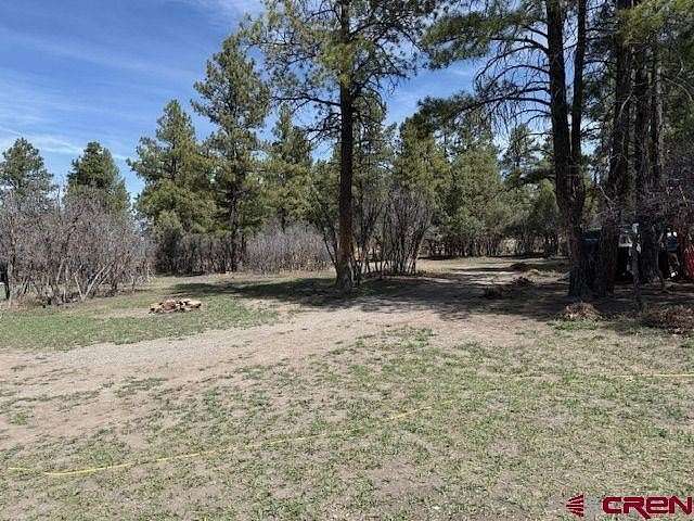 1 Acre of Residential Land for Sale in Pagosa Springs, Colorado