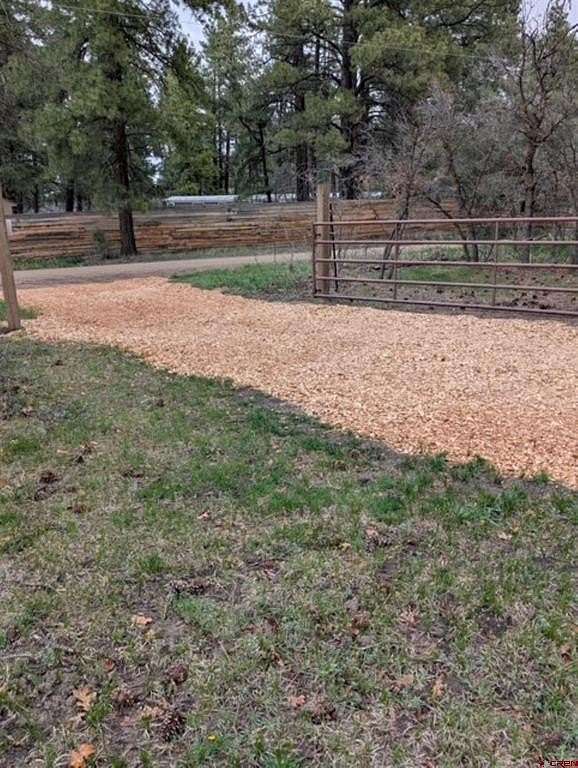 1 Acre of Residential Land for Sale in Pagosa Springs, Colorado