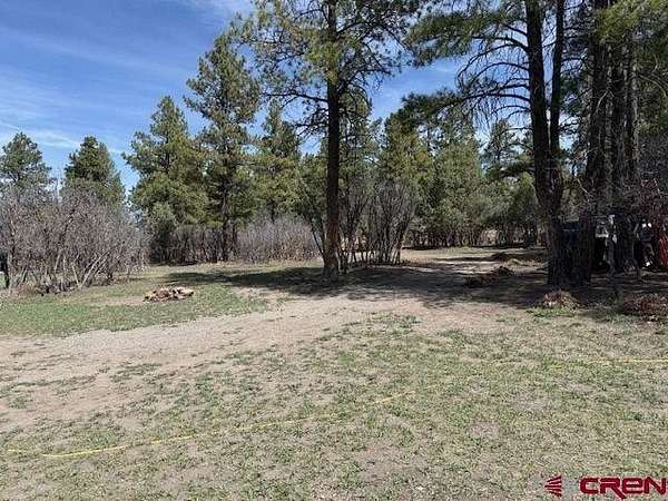1 Acre of Residential Land for Sale in Pagosa Springs, Colorado