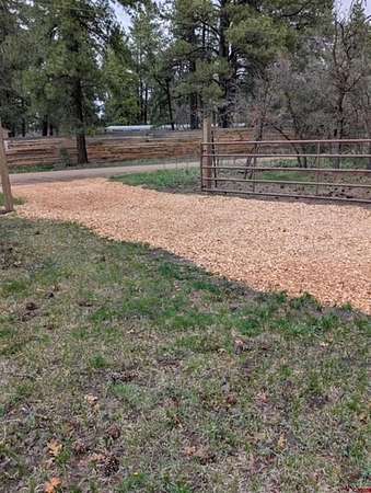 1 Acre of Land for Sale in Pagosa Springs, Colorado