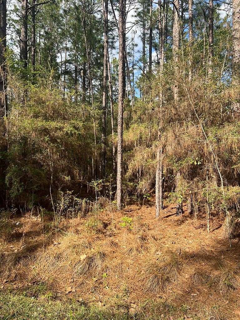 1.8 Acres of Residential Land for Sale in Poplarville, Mississippi