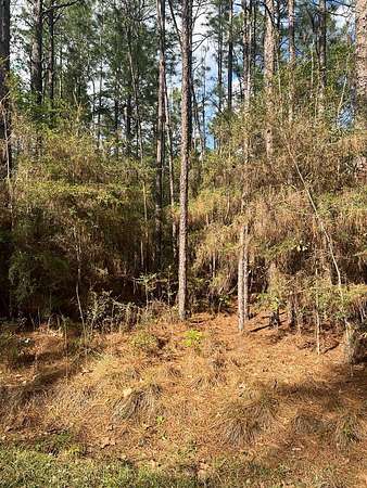 1.8 Acres of Residential Land for Sale in Poplarville, Mississippi