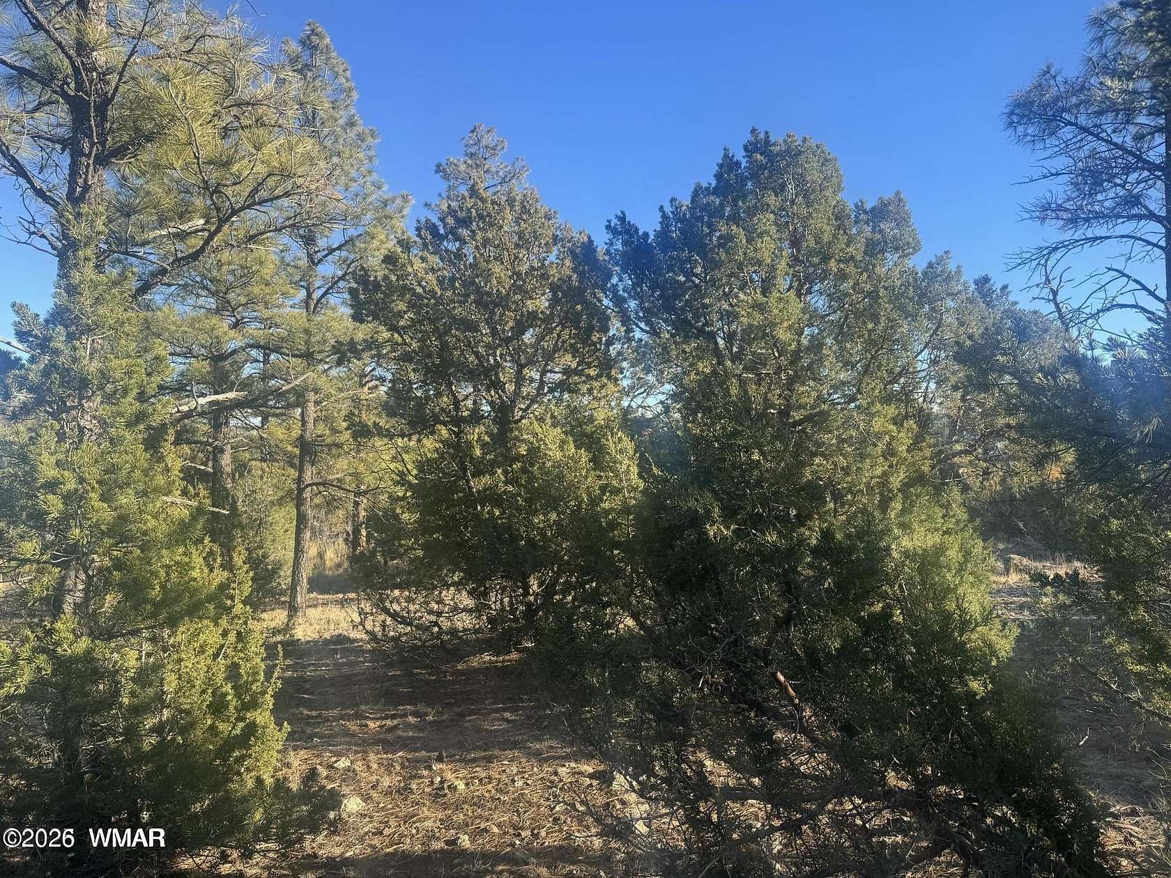 0.2 Acres of Residential Land for Sale in Show Low, Arizona