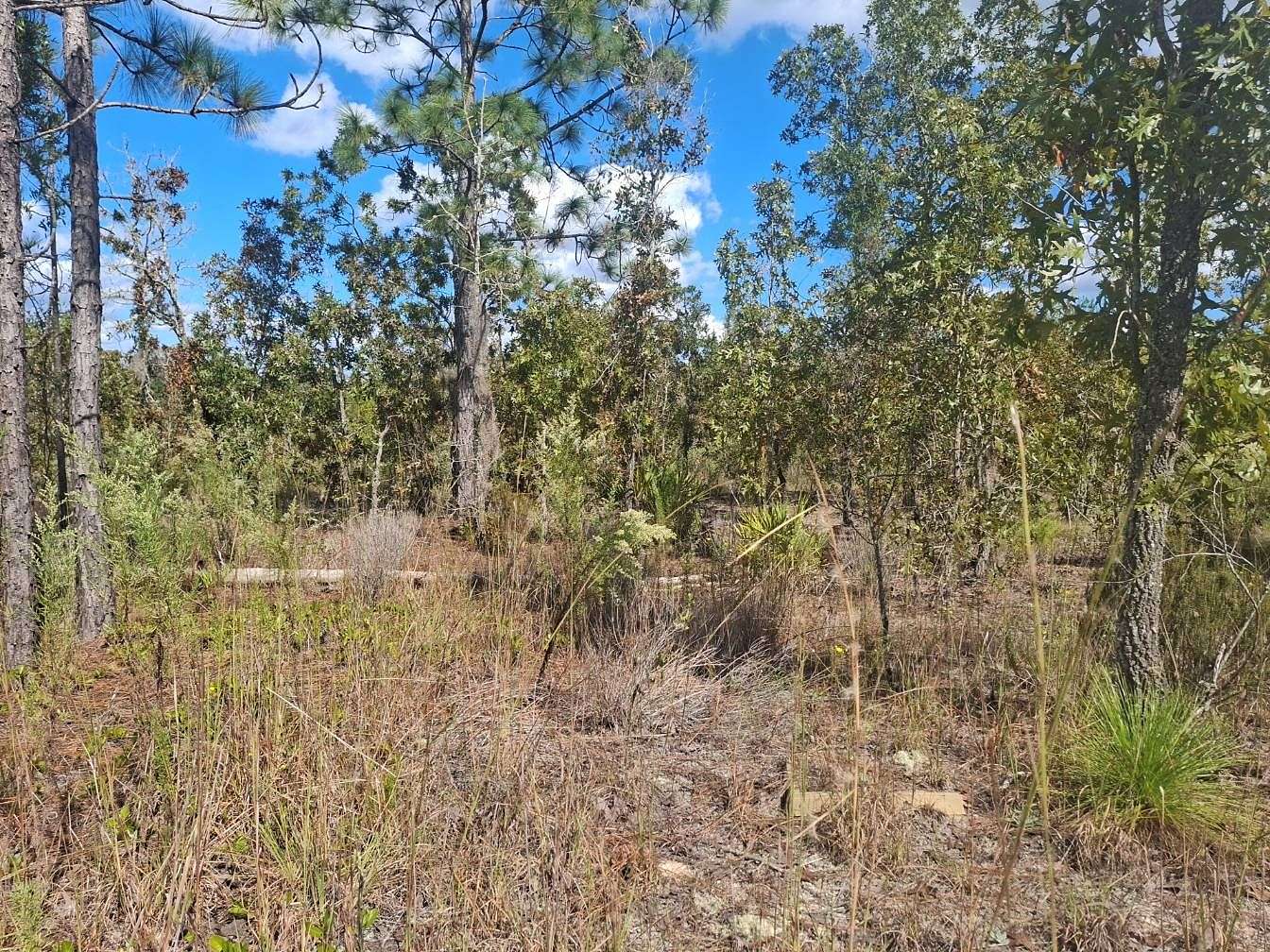 0.21 Acres of Residential Land for Sale in Interlachen, Florida