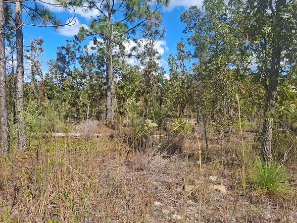 0.21 Acres of Residential Land for Sale in Interlachen, Florida
