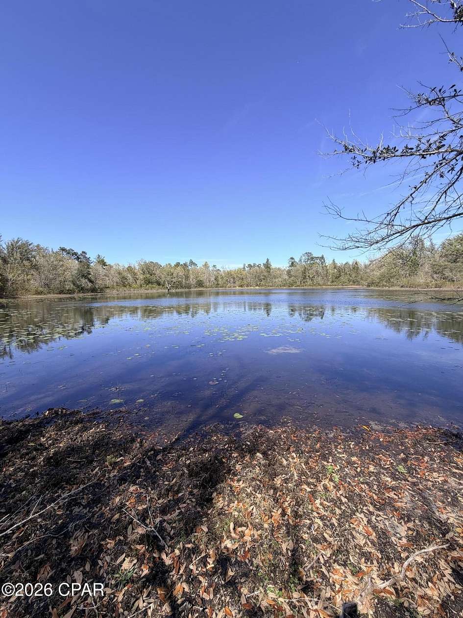 60 Acres of Agricultural & Residential Land for Sale in Sneads, Florida