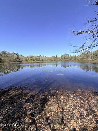 60 Acres of Agricultural & Residential Land for Sale in Sneads, Florida