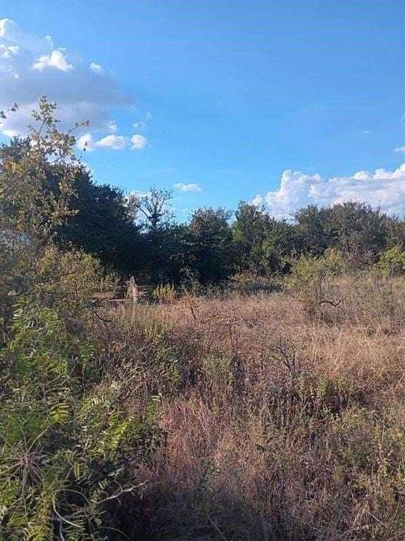 0.42 Acres of Land for Sale in Bridgeport, Texas