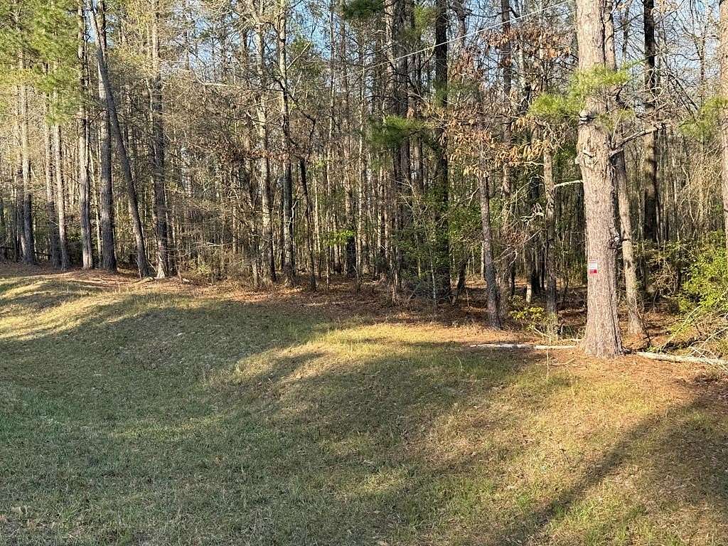 34.4 Acres of Land for Sale in Shiloh, Georgia