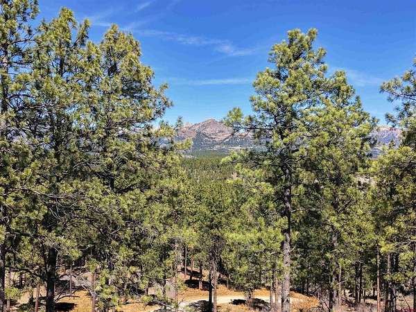 35.6 Acres of Land for Sale in Pagosa Springs, Colorado
