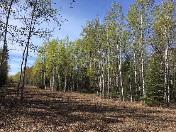 5 Acres of Land for Sale in Delta Junction, Alaska