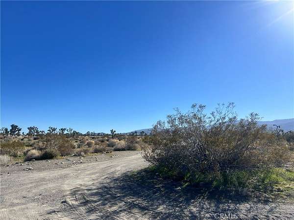 40 Acres of Recreational & Residential Land for Sale in Piñon Hills, California