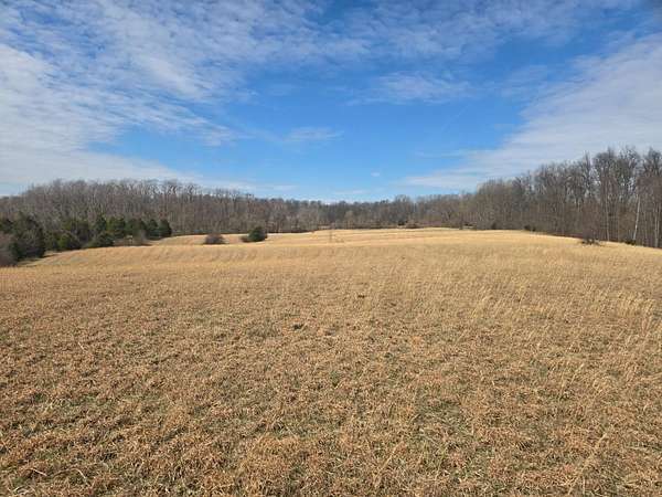 46 Acres of Agricultural Land for Sale in Laurel, Indiana
